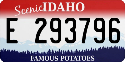 ID license plate E293796
