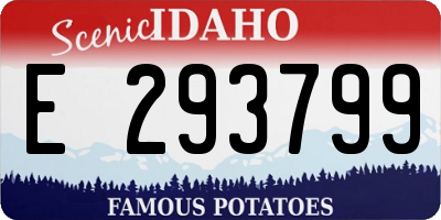 ID license plate E293799