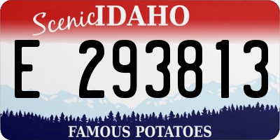 ID license plate E293813