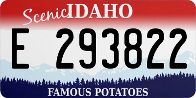 ID license plate E293822