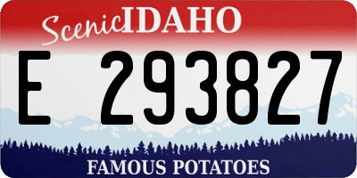 ID license plate E293827