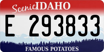 ID license plate E293833