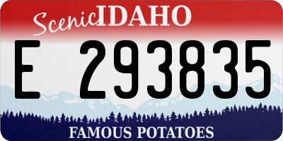 ID license plate E293835