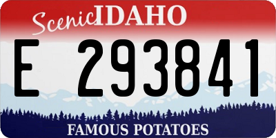 ID license plate E293841