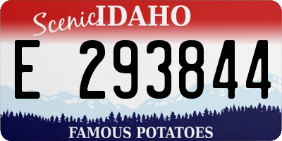 ID license plate E293844