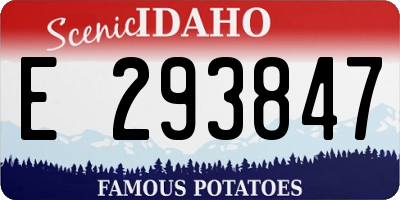 ID license plate E293847