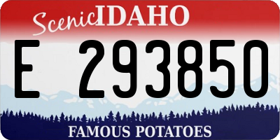 ID license plate E293850