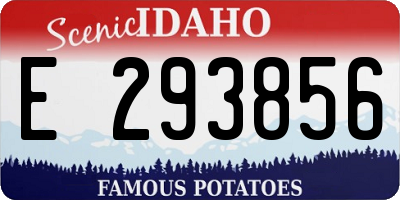 ID license plate E293856