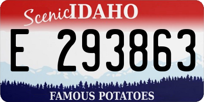 ID license plate E293863
