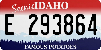 ID license plate E293864