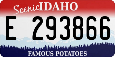 ID license plate E293866