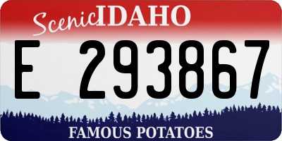ID license plate E293867