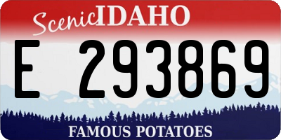 ID license plate E293869