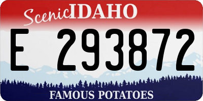 ID license plate E293872