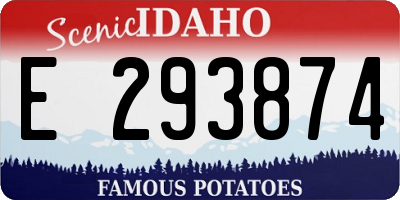 ID license plate E293874