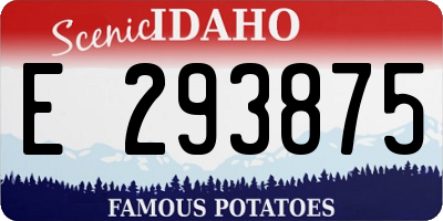 ID license plate E293875