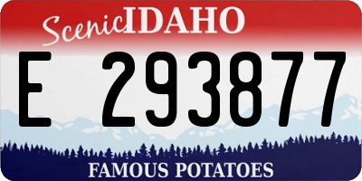 ID license plate E293877