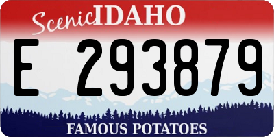 ID license plate E293879