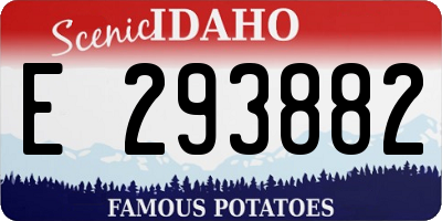 ID license plate E293882