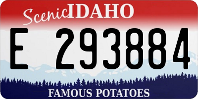 ID license plate E293884