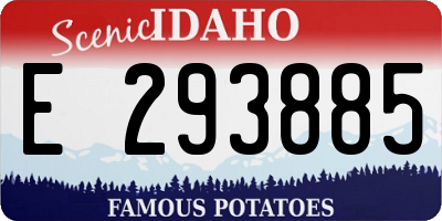 ID license plate E293885