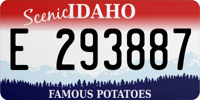 ID license plate E293887