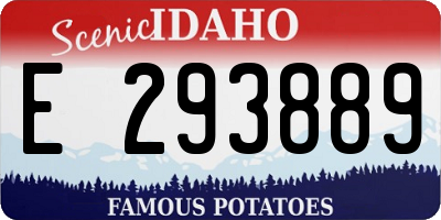 ID license plate E293889