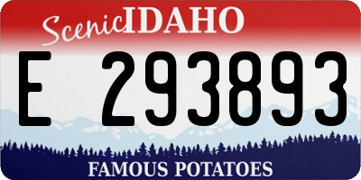 ID license plate E293893
