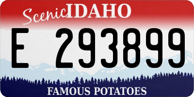 ID license plate E293899
