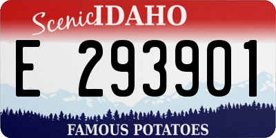 ID license plate E293901