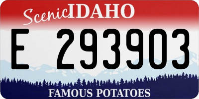ID license plate E293903