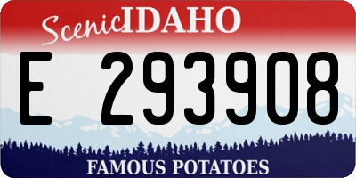 ID license plate E293908