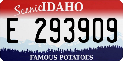 ID license plate E293909