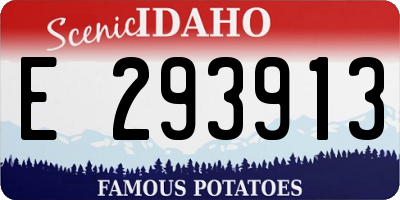 ID license plate E293913