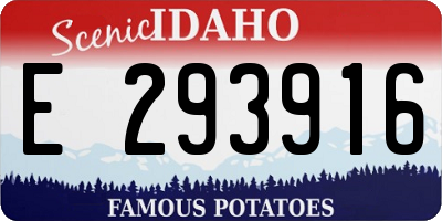 ID license plate E293916