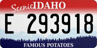 ID license plate E293918