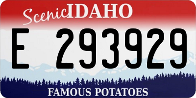ID license plate E293929