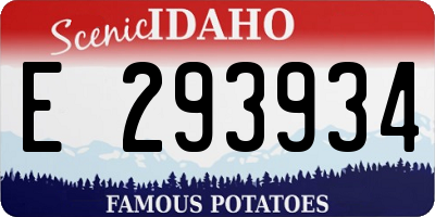 ID license plate E293934