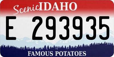 ID license plate E293935