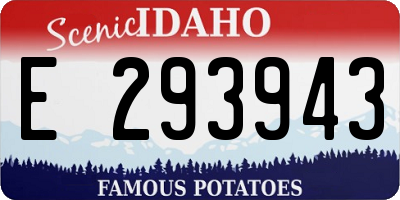 ID license plate E293943