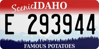 ID license plate E293944