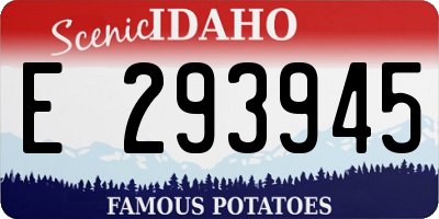 ID license plate E293945