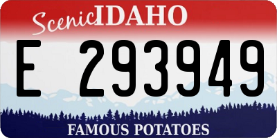 ID license plate E293949