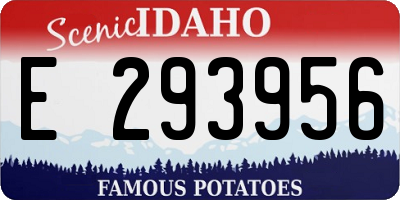 ID license plate E293956