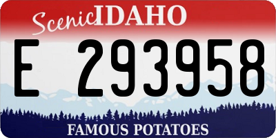 ID license plate E293958