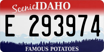 ID license plate E293974