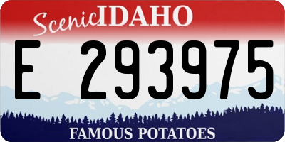 ID license plate E293975