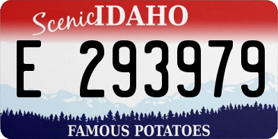 ID license plate E293979