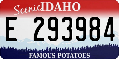 ID license plate E293984