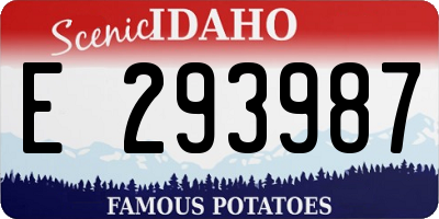 ID license plate E293987